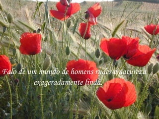 Falo de um mundo de homens rudes e natureza  exageradamente linda. 