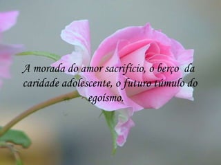 A morada do amor sacrifício, o berço  da  caridade adolescente, o futuro túmulo do egoísmo.  