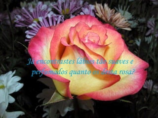 Já encontrastes lábios tão suaves e  perfumados quanto os desta rosa?  