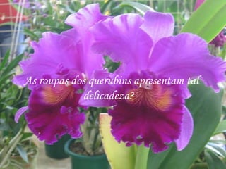 As roupas dos querubins apresentam tal delicadeza?  