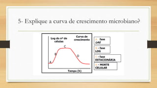 5- Explique a curva de crescimento microbiano?
 