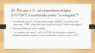 20- Por que a E. coli enterohemorrágica
(O157:H7) é conhecida como “a renegada”?
• É conhecida como E. coli enterohemorrágica (EHEC) ou produtora de
verotoxina- VTEC (shiga-like toxin) responsável pela “colite hemorrágica”.
• Está distribuída por todo o mundo.
• Ao contrário das outra E. coli, a O157:H7 não fermenta o sorbitol, é
betaglucoronidase negativa e o seu crescimento é pobre ou nulo a 44ºC.
 