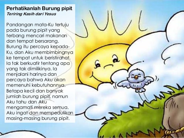 Perhatikanlah Burung pipit