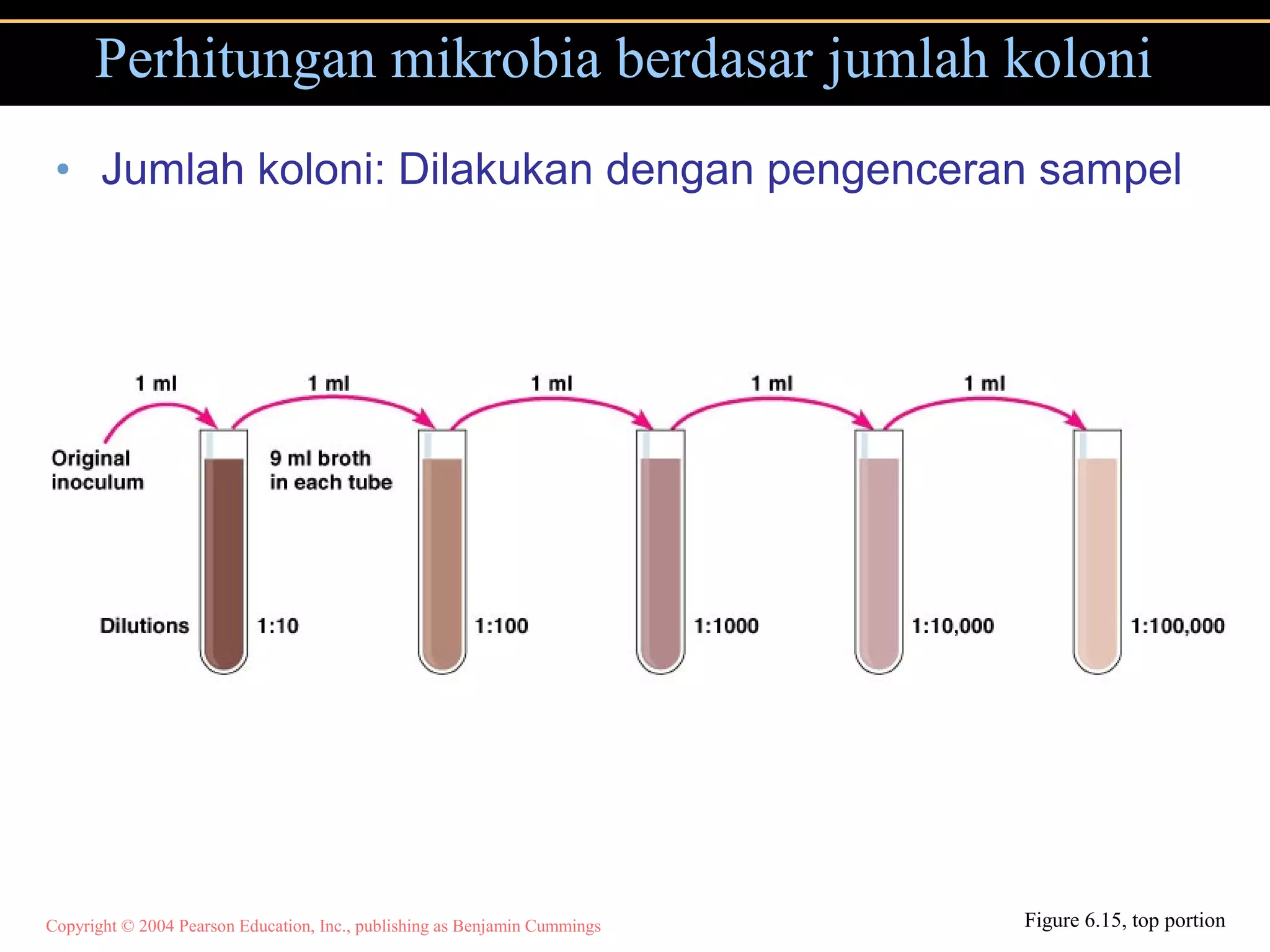 Copyright © 2004 Pearson Education, Inc., publishing as Benjamin Cummings
• Jumlah koloni: Dilakukan dengan pengenceran sampel
Perhitungan mikrobia berdasar jumlah koloni
Figure 6.15, top portion
 