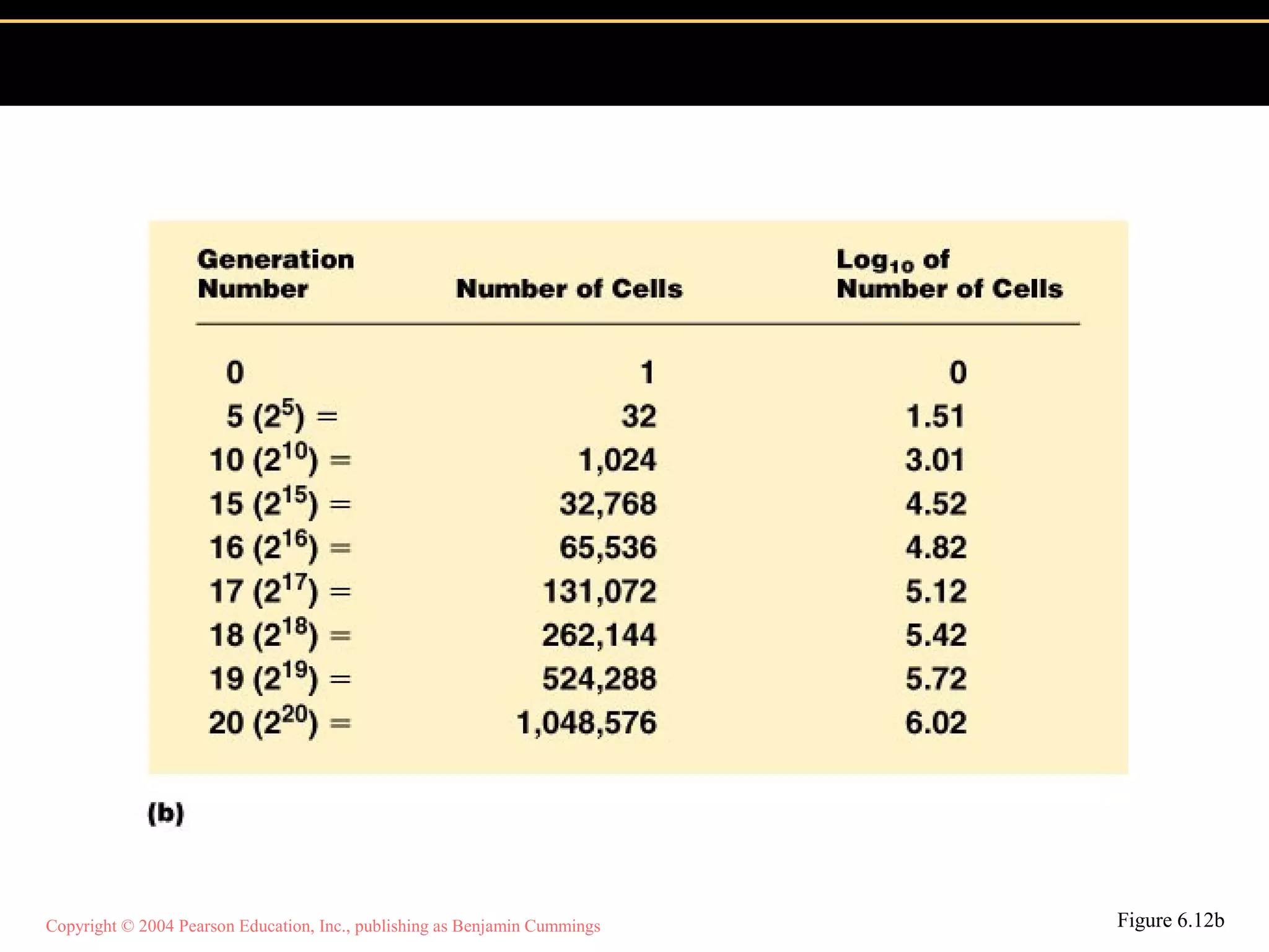 Copyright © 2004 Pearson Education, Inc., publishing as Benjamin Cummings Figure 6.12b
 