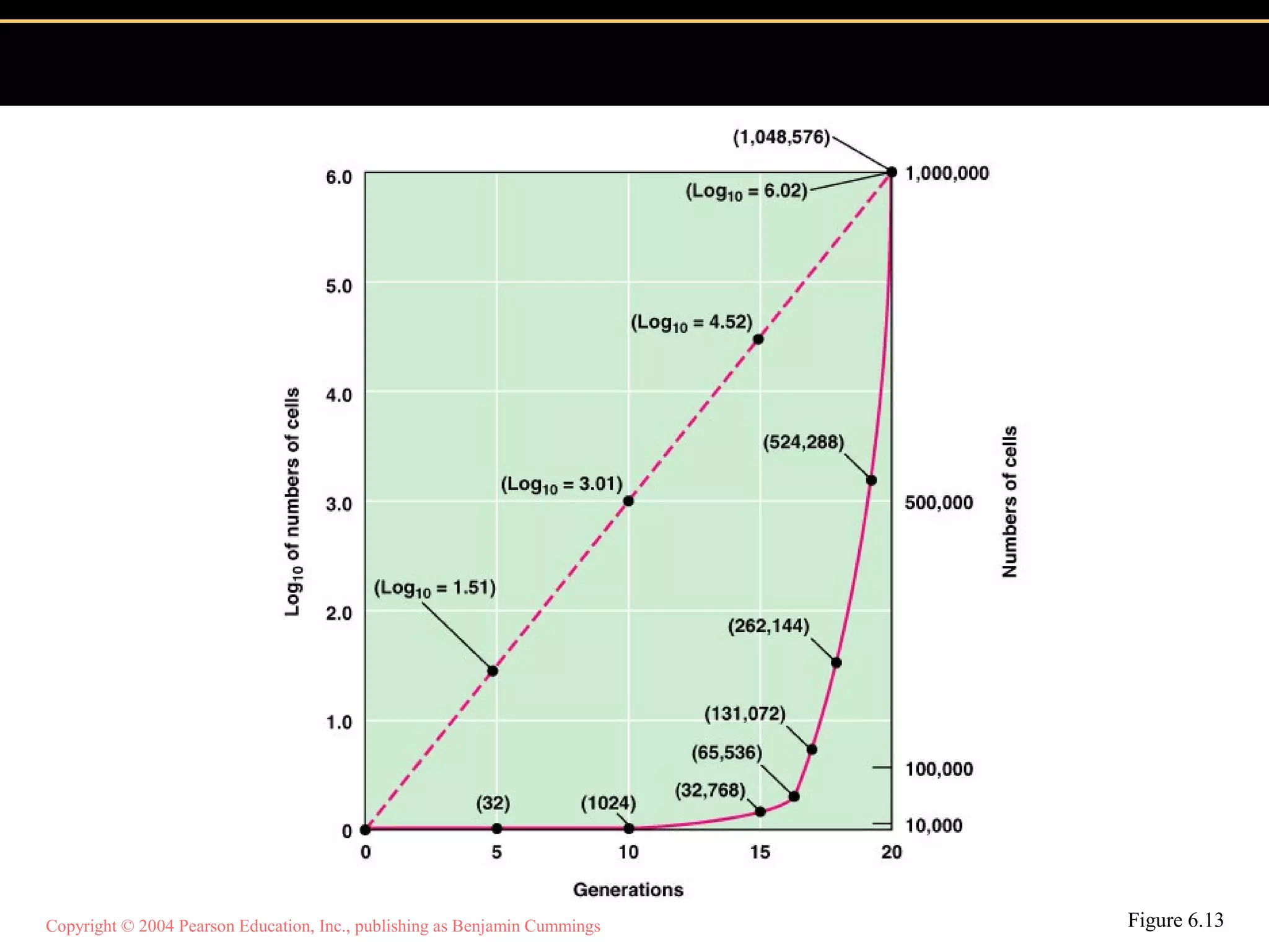 Copyright © 2004 Pearson Education, Inc., publishing as Benjamin Cummings Figure 6.13
 