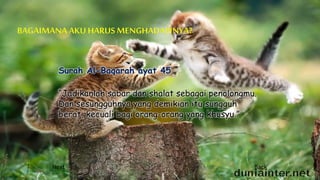 Surah Al-Baqarah ayat 45
“Jadikanlah sabar dan shalat sebagai penolongmu.
Dan sesungguhnya yang demikian itu sungguh
berat, kecuali bagi orang-orang yang khusyu.”
Next Back
 