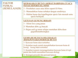 FAKTOR
FIZIKAL
(SEMULAJADI)
KEBAKARAN HUTAN AKIBAT DARIPADA CUACA
PANAS SEPERTI EL-NINO.
1 - Perubahan cuaca atau iklim seperti El-Nino.
2 - Memudahkan hutan terbakar dengan sendirinya.
3 - Habitat hutan dan kepelbagaian spesis lain musnah serta
spesis berhijrah.
LETUSAN GUNUNG BERAPI
1 - Aliran lava yang panas
2- Muntahan debu yg banyak
3- Hujan asid yg turun selepas muntahan debu-daun
gugur(hutanberangka)
GEMPA BUMI,TSUNAMI,GERAKAN
JISIM,PENYAKIT,PEROSAK HUTAN
1- Kawasan hutan akan tertimbus
2- Kejadian tanah runtuh mengakibatkan kawasan hutan di
lereng- lereng bukit tertimbus
3- Kejadian tsunami menenggelamkan kawasan hutan di tepi
pantai dan boleh musnahkan kawasan ekologi
4- Serangan penyakit dan perosak haiwan
 