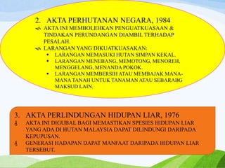 2. AKTA PERHUTANAN NEGARA, 1984
 AKTA INI MEMBOLEHKAN PENGUATKUASAAN &
TINDAKAN PERUNDANGAN DIAMBIL TERHADAP
PESALAH.
 LARANGAN YANG DIKUATKUASAKAN:
 LARANGAN MEMASUKI HUTAN SIMPAN KEKAL.
 LARANGAN MENEBANG, MEMOTONG, MENOREH,
MENGGELANG, MENANDA POKOK.
 LARANGAN MEMBERSIH ATAU MEMBAJAK MANA-
MANA TANAH UNTUK TANAMAN ATAU SEBARABG
MAKSUD LAIN.
3. AKTA PERLINDUNGAN HIDUPAN LIAR, 1976
₰ AKTA INI DIGUBAL BAGI MEMASTIKAN SPESIES HIDUPAN LIAR
YANG ADA DI HUTAN MALAYSIA DAPAT DILINDUNGI DARIPADA
KEPUPUSAN.
₰ GENERASI HADAPAN DAPAT MANFAAT DARIPADA HIDUPAN LIAR
TERSEBUT.
 