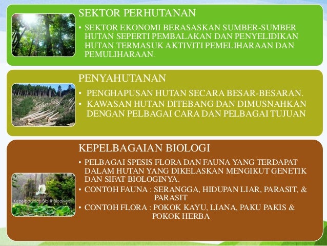 PERHUTANAN GEOGRAFI STPM PENGGAL 2