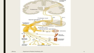 2/8/2019 Department of PediatricAnesthesia, KCH 11
 
