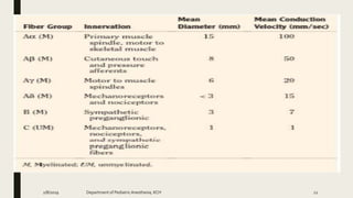 2/8/2019 Department of PediatricAnesthesia, KCH 12
 