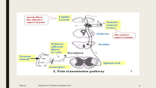 2/8/2019 Department of PediatricAnesthesia, KCH 14
 