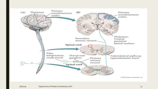 2/8/2019 Department of PediatricAnesthesia, KCH 15
 