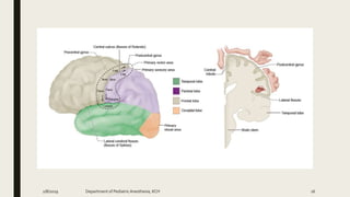 2/8/2019 Department of PediatricAnesthesia, KCH 16
 