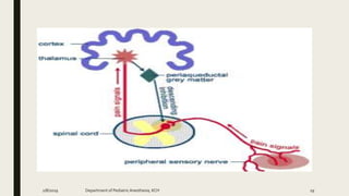 2/8/2019 Department of PediatricAnesthesia, KCH 19
 