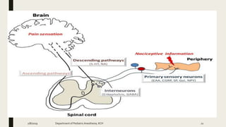 2/8/2019 Department of PediatricAnesthesia, KCH 21
 