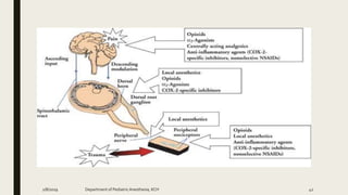 2/8/2019 Department of PediatricAnesthesia, KCH 42
 