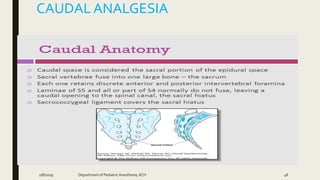 CAUDAL ANALGESIA
2/8/2019 Department of PediatricAnesthesia, KCH 48
 