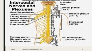 2/8/2019 Department of PediatricAnesthesia, KCH 55
 