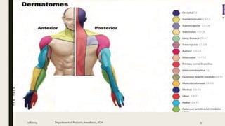 2/8/2019 Department of PediatricAnesthesia, KCH 59
 