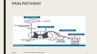 PAIN PATHWAY
2/8/2019 Department of PediatricAnesthesia, KCH 6
 