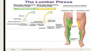 2/8/2019 Department of PediatricAnesthesia, KCH 61
 