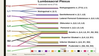 2/8/2019 Department of PediatricAnesthesia, KCH 62
 
