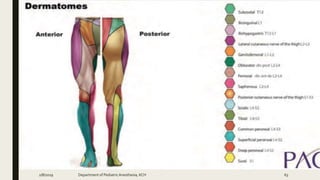2/8/2019 Department of PediatricAnesthesia, KCH 63
 