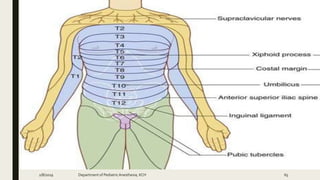2/8/2019 Department of PediatricAnesthesia, KCH 65
 