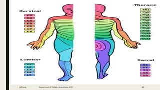 2/8/2019 Department of PediatricAnesthesia, KCH 66
 