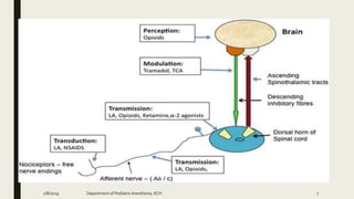 2/8/2019 Department of PediatricAnesthesia, KCH 7
 