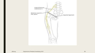 2/8/2019 Department of PediatricAnesthesia, KCH 86
 
