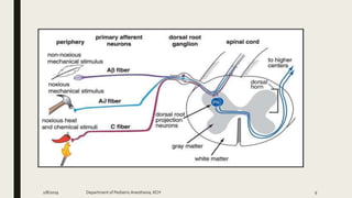 2/8/2019 Department of PediatricAnesthesia, KCH 9
 