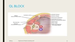 QL BLOCK
2/8/2019 Department of PediatricAnesthesia, KCH 97
 
