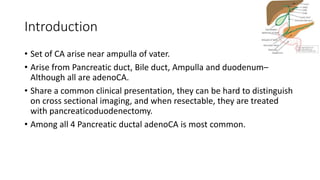 Introduction
• Set of CA arise near ampulla of vater.
• Arise from Pancreatic duct, Bile duct, Ampulla and duodenum–
Although all are adenoCA.
• Share a common clinical presentation, they can be hard to distinguish
on cross sectional imaging, and when resectable, they are treated
with pancreaticoduodenectomy.
• Among all 4 Pancreatic ductal adenoCA is most common.
 