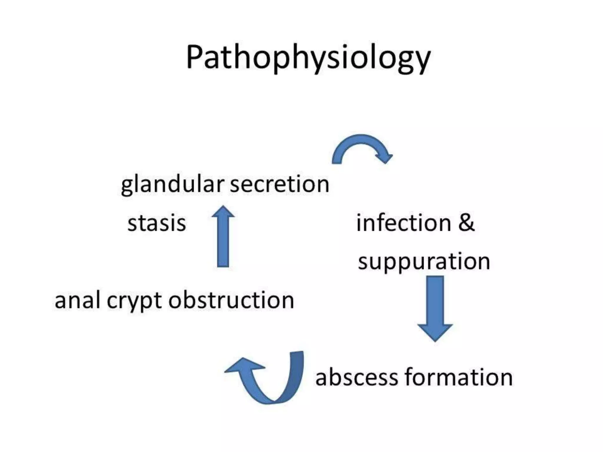 Septic Abscess ANORECTAL ANATOMY & PERIANAL SEPSIS | PPTX