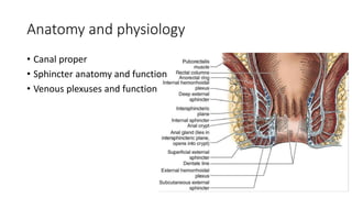 Anatomy and physiology
• Canal proper
• Sphincter anatomy and function
• Venous plexuses and function
 
