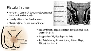 Fistula in ano
• Abnormal communication between anal
canal and perianal skin
• Usually after a resolved abscess
• Classification: based on sphincter
• Presentation: pus discharge, perianal swelling,
wetness, pain
• Diagnosis: C/E, fistulogram, MRI
• Rx: fistulotomy, fistulectomy, Seton, Flaps,
fibrin glue, plugs
 