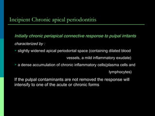 Incipient Chronic apical periodontitis
Initially chronic periapical connective response to pulpal irritants
characterized by :
 slightly widened apical periodontal space (containing dilated blood
vessels, a mild inflammatory exudate)
 a dense accumulation of chronic inflammatory cells(plasma cells and
lymphocytes)
If the pulpal contaminants are not removed the response will
intensify to one of the acute or chronic forms
 