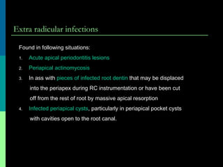 Extra radicular infections
Found in following situations:
1. Acute apical periodontitis lesions
2. Periapical actinomycosis
3. In ass with pieces of infected root dentin that may be displaced
into the periapex during RC instrumentation or have been cut
off from the rest of root by massive apical resorption
4. Infected periapical cysts, particularly in periapical pocket cysts
with cavities open to the root canal.
 