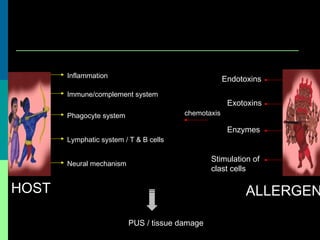 HOST ALLERGEN
Inflammation
Phagocyte system
Lymphatic system / T & B cells
Immune/complement system
Neural mechanism
chemotaxis
Endotoxins
Exotoxins
Enzymes
PUS / tissue damage
Stimulation of
clast cells
 