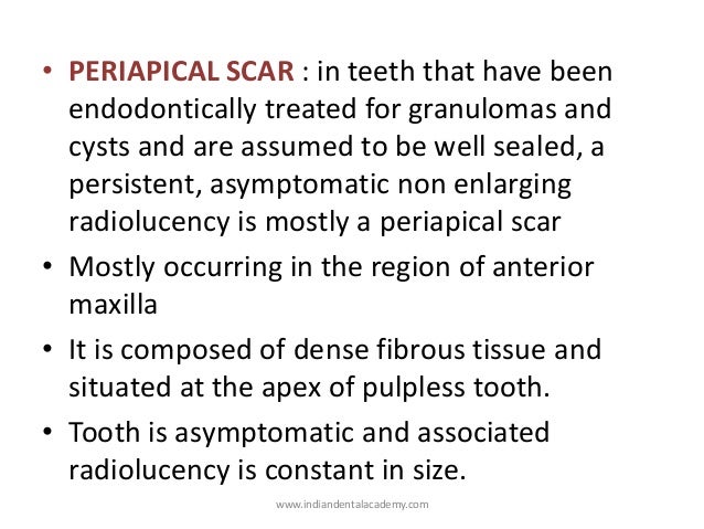apical scar barca fontanacountryinn com apical scar