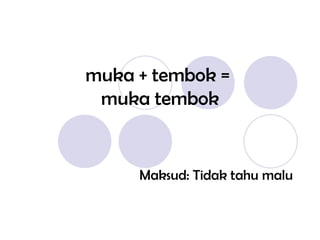 muka + tembok =  muka tembok Maksud: Tidak tahu malu 