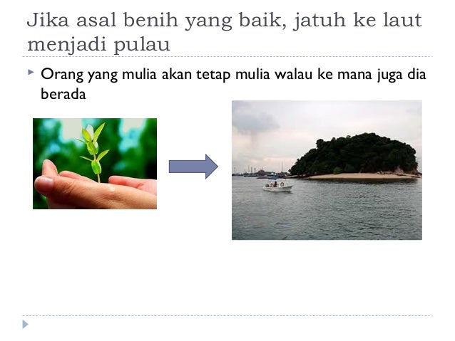 kalau asal benih yang baik