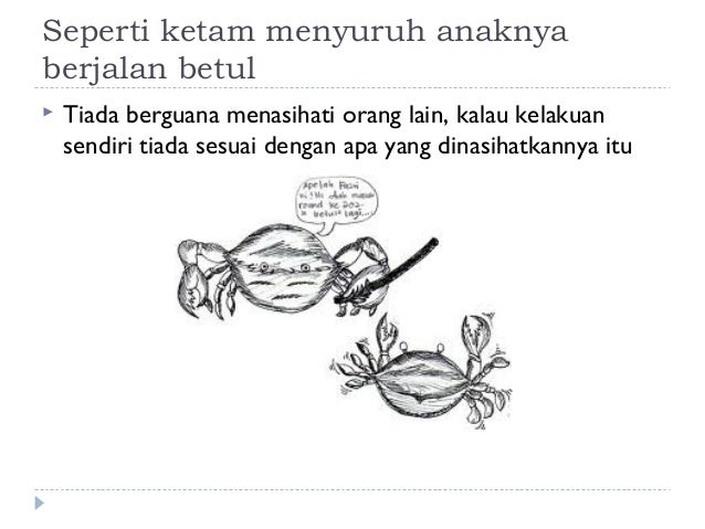 peribahasa tak lapuk dek hujan