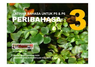 LATIHAN BAHASA UNTUK P5 & P6

PERIBAHASA



www.saujana.sg

BAHAN INI DIUSAHAKAN OLEH
JAWATANKUASA PENGUMPULAN SOALAN P5 &...