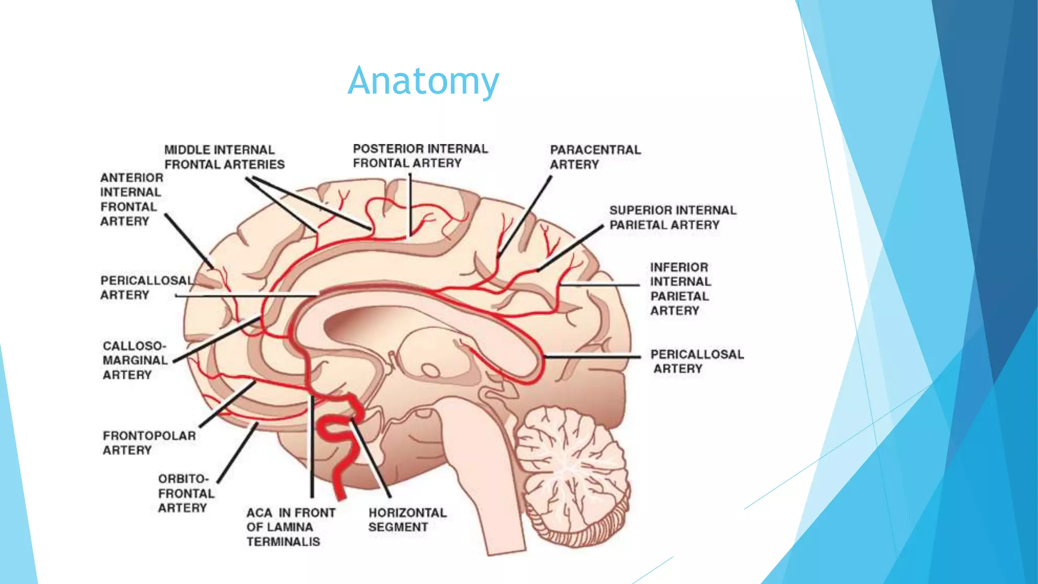 Pericallosal Artery Infarction Alien Hand Syndrome PPTX Pericallosal Artery Infarction Alien Hand Syndrome PPTX