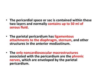 The pericardial space or sac is contained within these two layers and normally  contains up to 50 ml of serous fluid . The parietal pericardium has  ligamentous attachments to the diaphragm, sternum , and other structures in the anterior mediastinum. The  only noncardiovascular macrostructures  associated with the pericardium are the  phrenic nerves , which are enveloped by the parietal pericardium. 