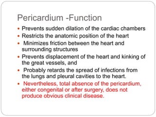 Pericardium -Function
 Prevents sudden dilation of the cardiac chambers
 Restricts the anatomic position of the heart
 Minimizes friction between the heart and
surrounding structures
 Prevents displacement of the heart and kinking of
the great vessels, and
 Probably retards the spread of infections from
the lungs and pleural cavities to the heart.
 Nevertheless, total absence of the pericardium,
either congenital or after surgery, does not
produce obvious clinical disease.
 